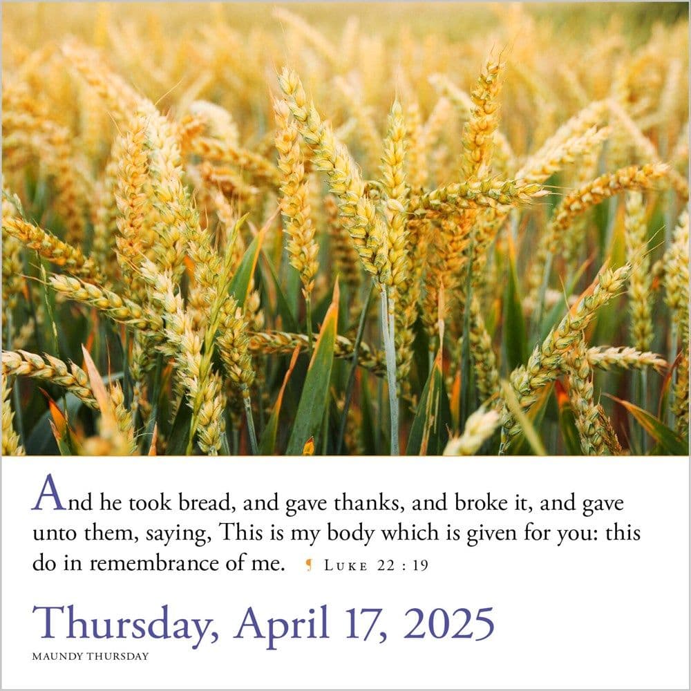 Bible Verses 2025 Page-a-Day Desk Calendar Third Alternate Image