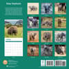 image Baby Elephants 2025 Wall Calendar First Alternate Image width="1000" height="1000"