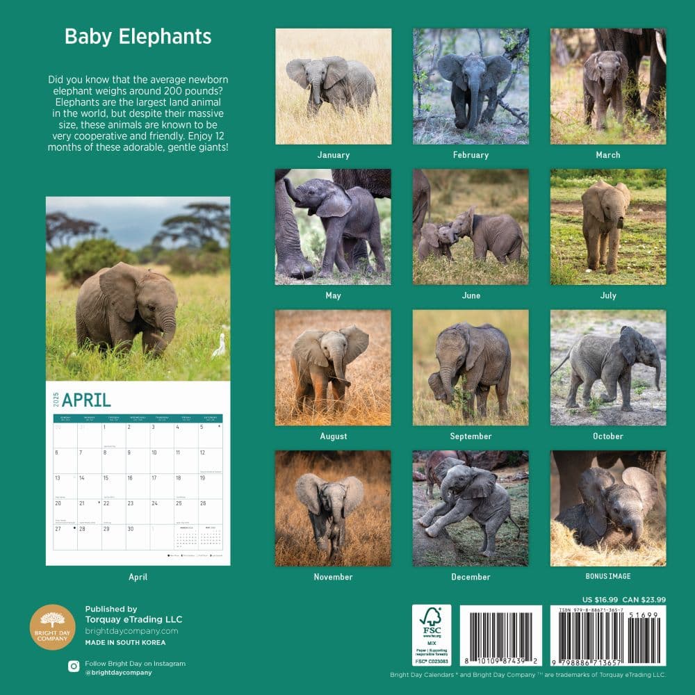 Baby Elephants 2025 Wall Calendar First Alternate Image width="1000" height="1000"