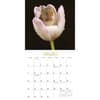 image Blossom Buddies By Herbert 2024 Mini Wall Calendar Alternate Image 2