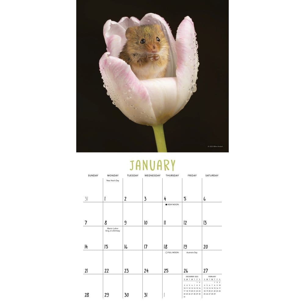Blossom Buddies By Herbert 2024 Mini Wall Calendar Alternate Image 2