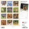 image White Tailed Deer 2024 Wall Calendar First Alternate Image width=&quot;1000&quot; height=&quot;1000&quot;