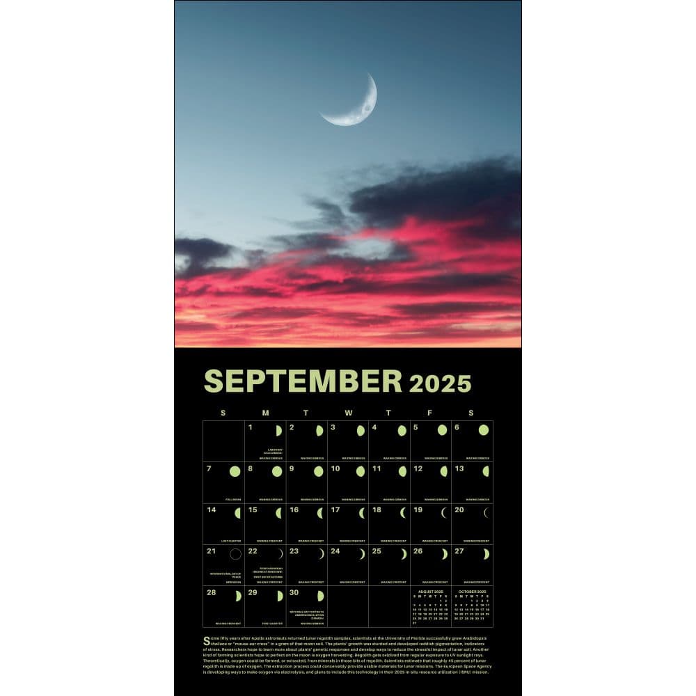 Lunar Year 2025 Wall Calendar - Calendars.com