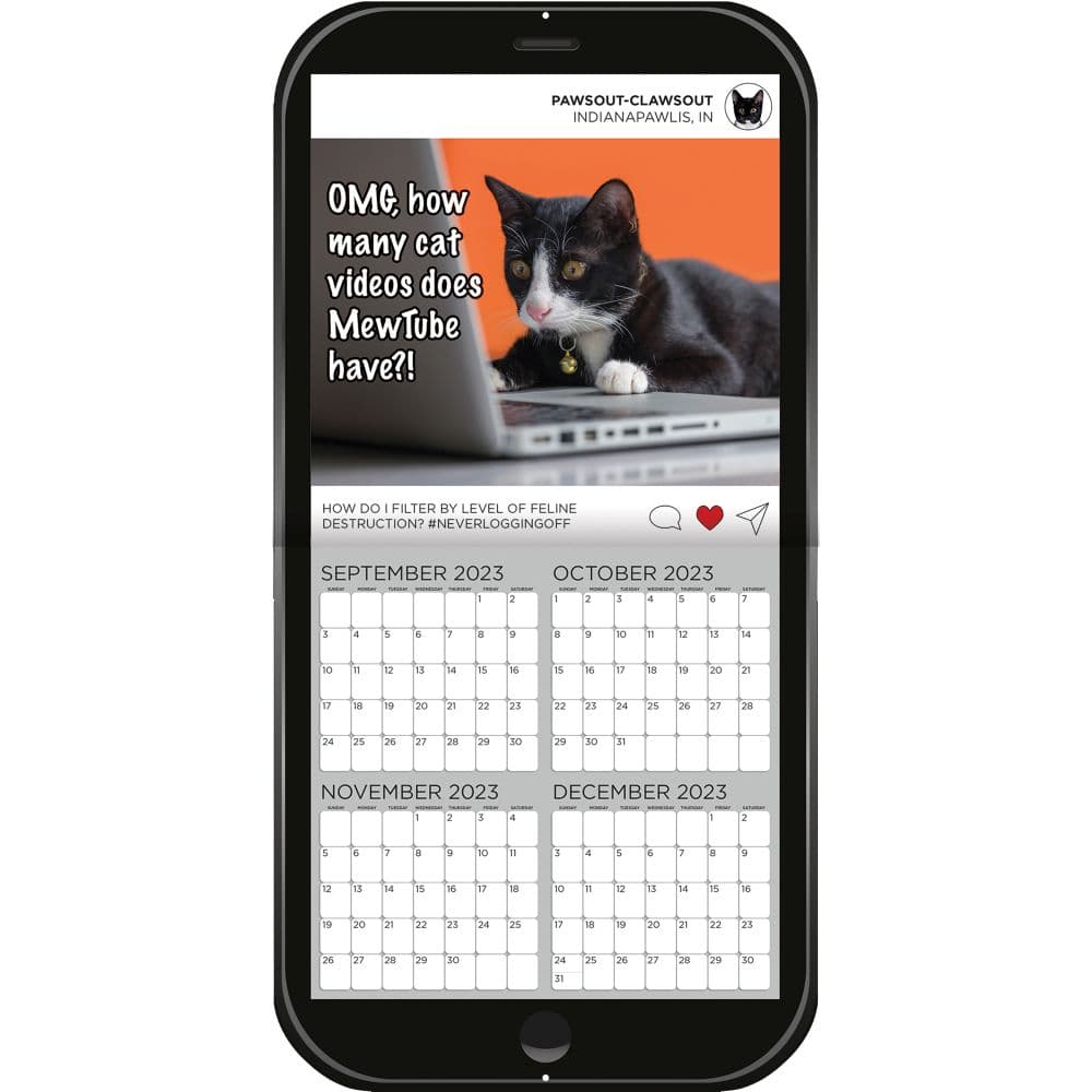 Cat Chat 2024 Mini Wall Calendar Third Alternate Image width=&quot;1000&quot; height=&quot;1000&quot;