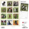 image Staffordshire Bull Terrier Puppies 2024 Wall Calendar First Alternate Image width=&quot;1000&quot; height=&quot;1000&quot;