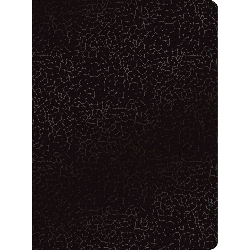 Executive 2022 Day Planner