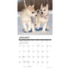 image Puppies 2026 Wall Calendar