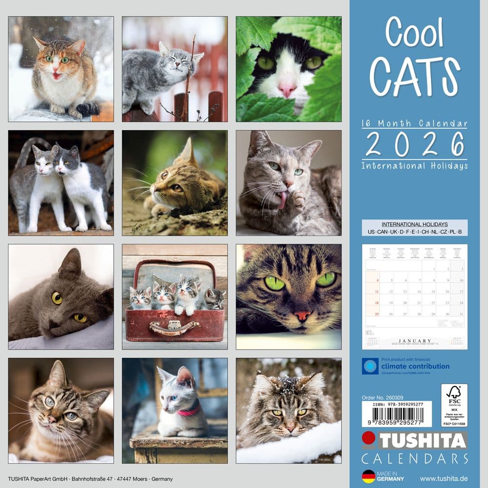 Cool Cats 2026 Wall Calendar First Alternate Image