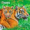 image Tigers 2027 Wall Calendar Main Product Image