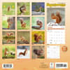 image Squirrels 2025 Wall Calendar First Alternate Image width=&quot;1000&quot; height=&quot;1000&quot;