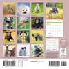 image Baby Animals Special Value 2026 Mini Wall Calendar First Alternate Image