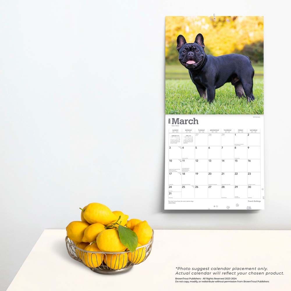 French Bulldogs 2024 Wall Calendar Third Alternate Image width=&quot;1000&quot; height=&quot;1000&quot;