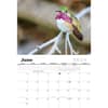 image Hummingbird 2024 Wall Calendar Second Alternate