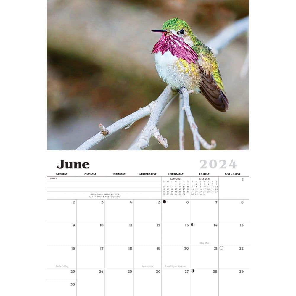 Hummingbird 2024 Wall Calendar Second Alternate
