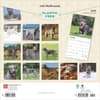 image Irish Wolfhounds 2025 Wall Calendar