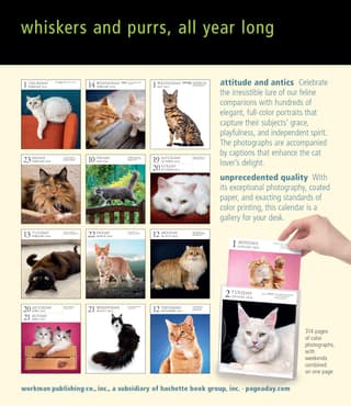 Cat Desk Calendar 2024 – R. Nichols