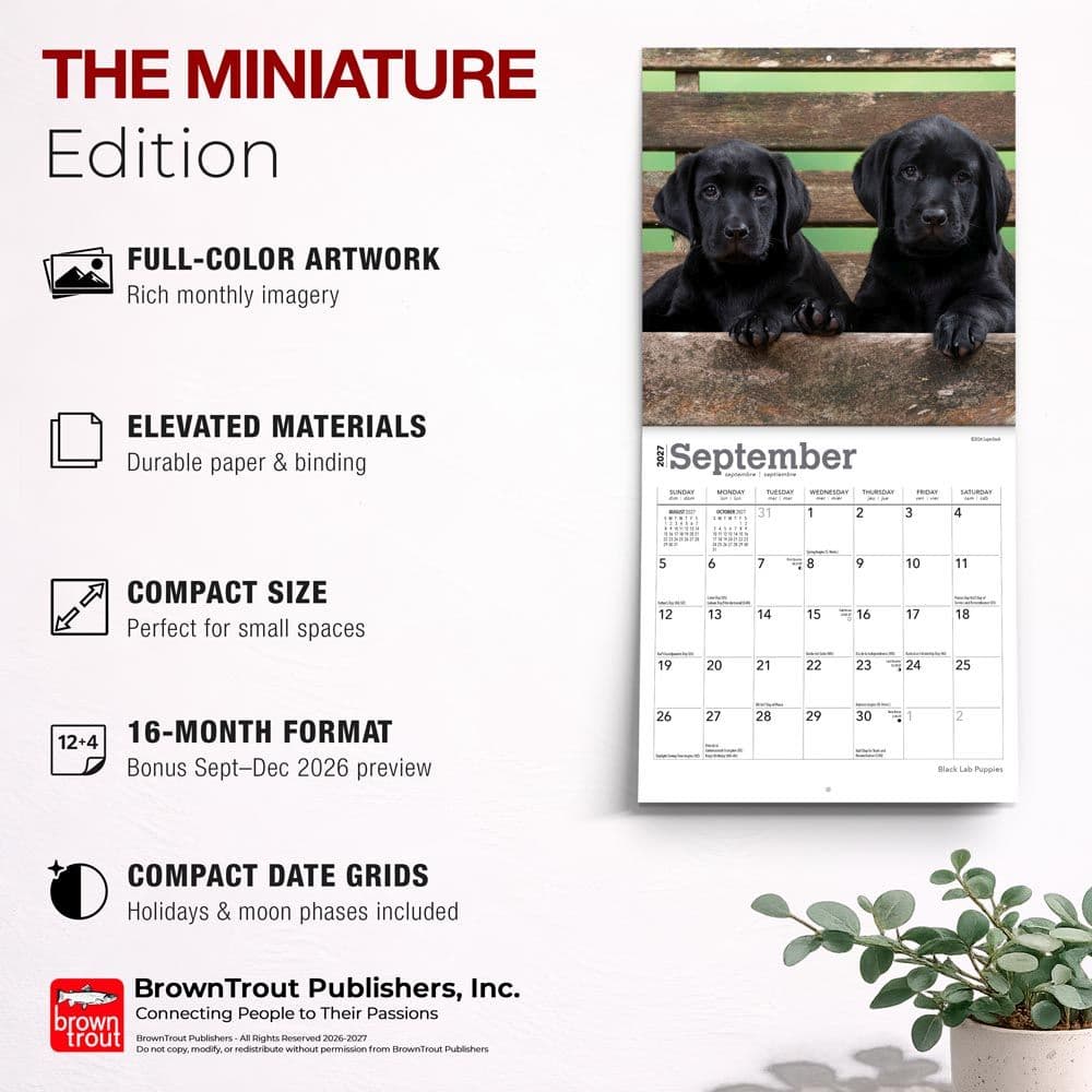 Black Lab Puppies 2027 Mini Wall Calendar Fifth Alternate Image