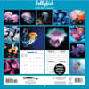 image Jellyfish Photo 2026 Wall Calendar