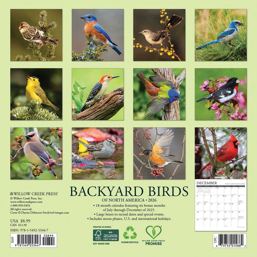 Backyard Birds 2026 Mini Wall Calendar First Alternate Image