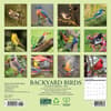 image Backyard Birds 2026 Mini Wall Calendar First Alternate Image