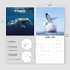 image Whales 2027 Wall Calendar Third Alternate Image
