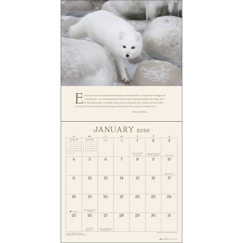 Pema Chodron 2026 Wall Calendar Second Alternate Image