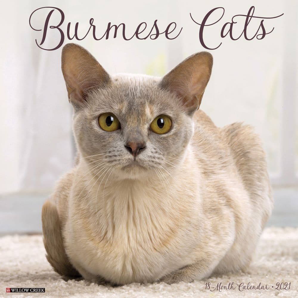 Burmese Cats Wall Calendar