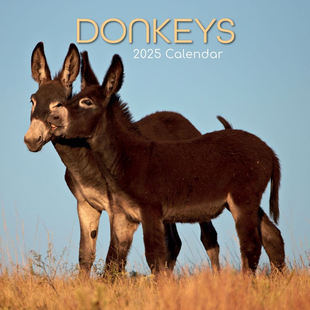 Donkeys 2025 Wall Calendar Main Product Image width=&quot;1000&quot; height=&quot;1000&quot;