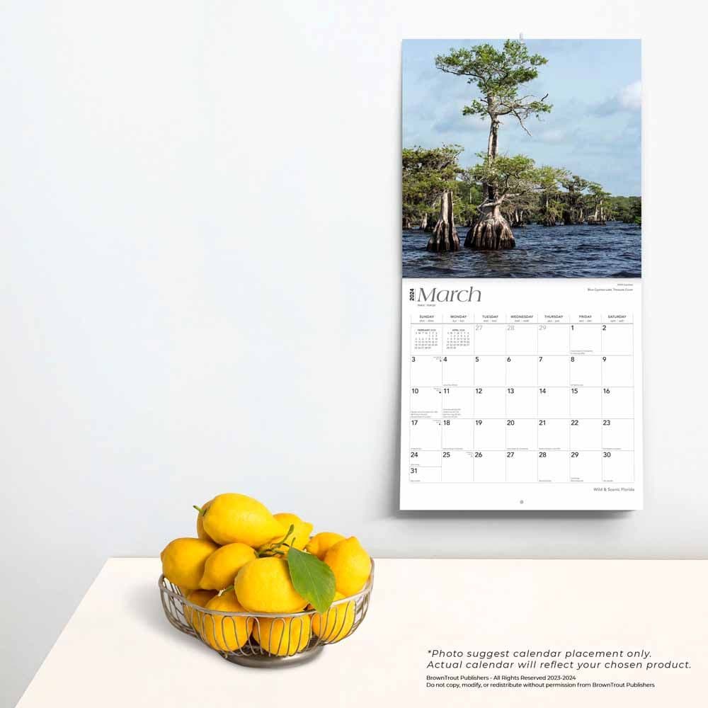 Florida Wild and Scenic 2024 Wall Calendar Third Alternate  Image width=&quot;1000&quot; height=&quot;1000&quot;
