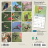 image Hummingbirds Plato 2025 Mini Wall Calendar
