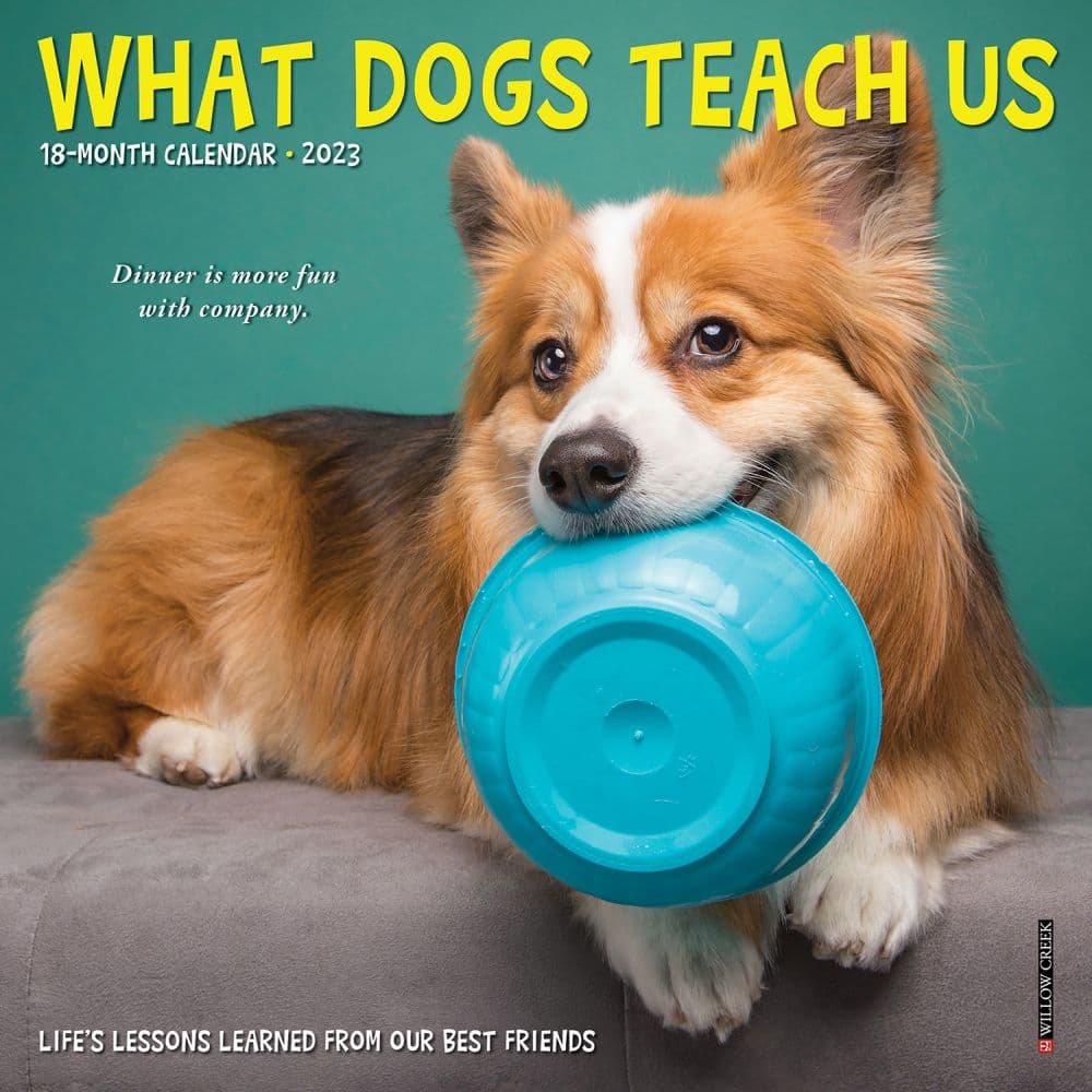 What Dogs Teach Us 2023 Mini Wall Calendar - Calendars.com