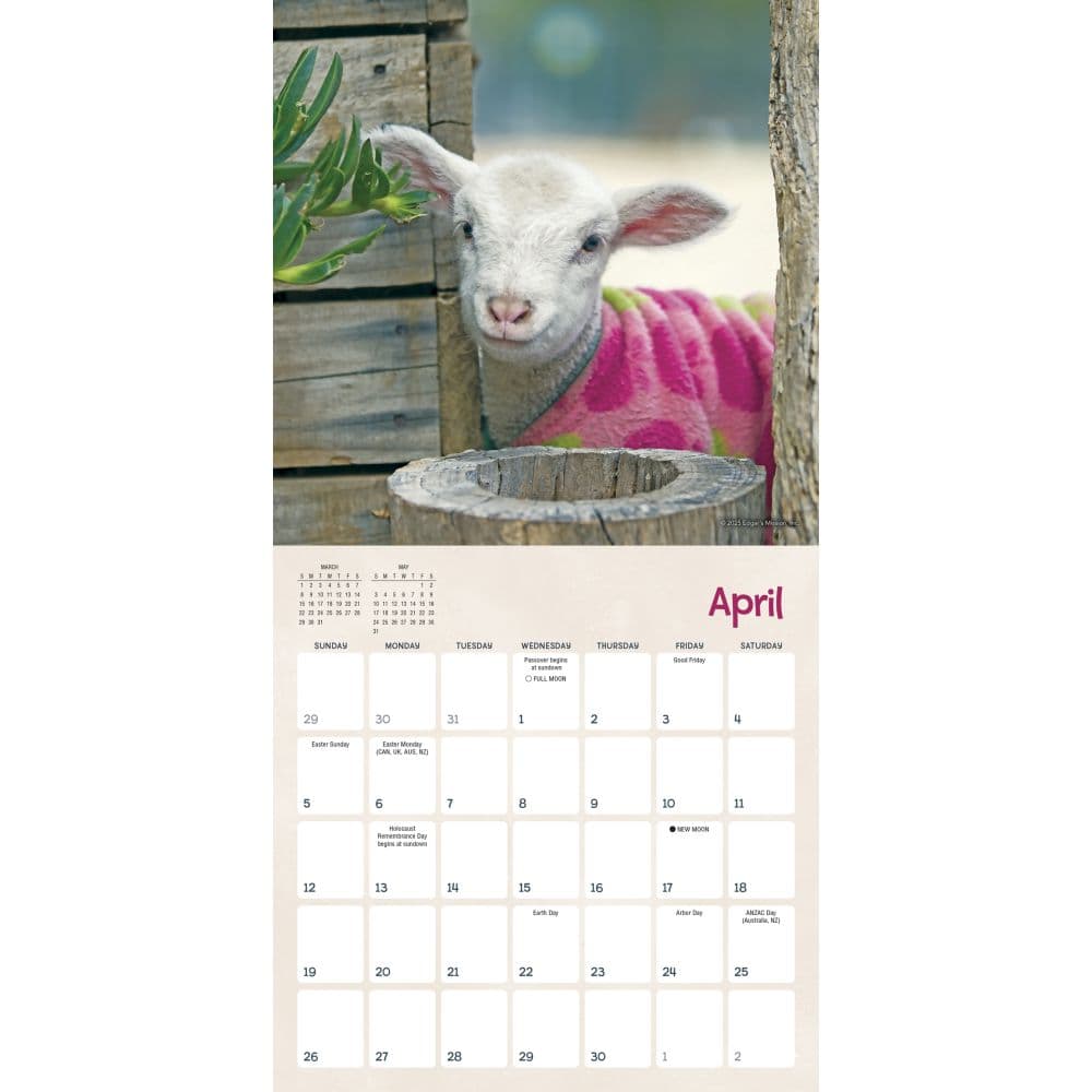 Lambies in Jammies 2026 Mini Wall Calendar Second Alternate Image