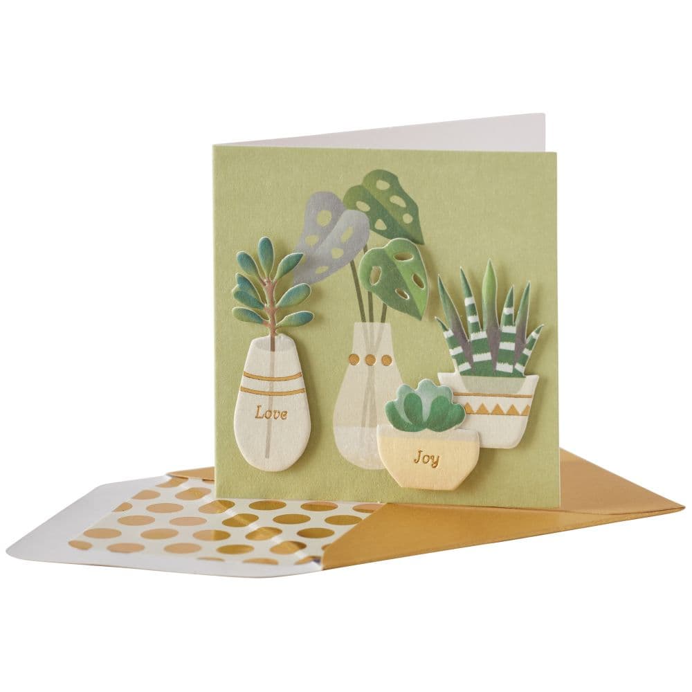 House Plants Enclosure Card Fifth Alternate Image width=&quot;1000&quot; height=&quot;1000&quot;