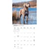 image Weimaraners 2026 Wall Calendar Third Alternate Image