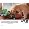 image Bad Kitties 2025 Desk Calendar Second Alternate Image