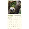 image Sloth Life 2025 Wall Calendar Second Alternate Image width="1000" height="1000"