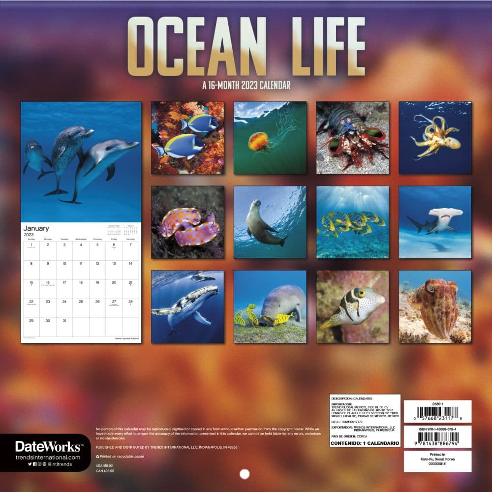 Ocean Life 2023 Wall Calendar SV - Calendars.com