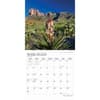 image Americas National Parks 2024 Wall Calendar Second Alternate Image width=&quot;1000&quot; height=&quot;1000&quot;