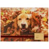 image Photo Dog In Leaves Fall Card First Alternate Image width=&quot;1000&quot; height=&quot;1000&quot;