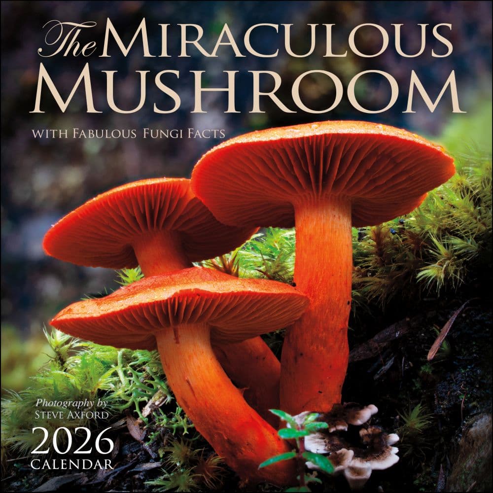 Miraculous Mushroom 2026 Wall Calendar Main Image
