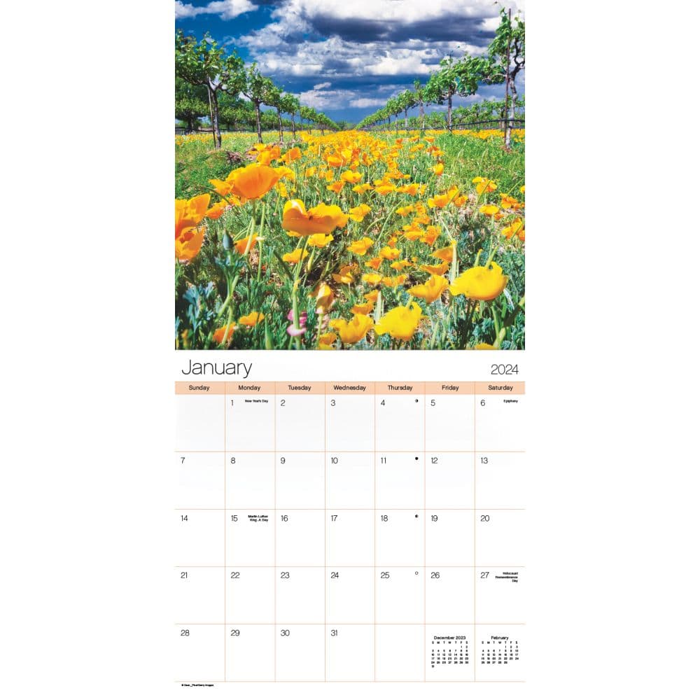 Texas Wildflowers 2024 Wall Calendar - Calendars.com