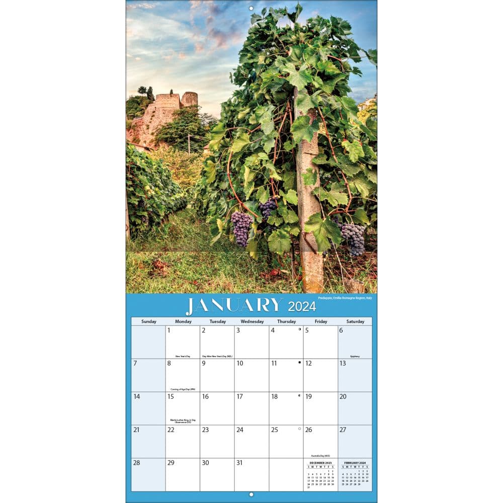 Vineyards 2024 Wall Calendar