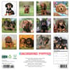 image Just Dachshund Puppies 2026 Wall Calendar First Alternate Image