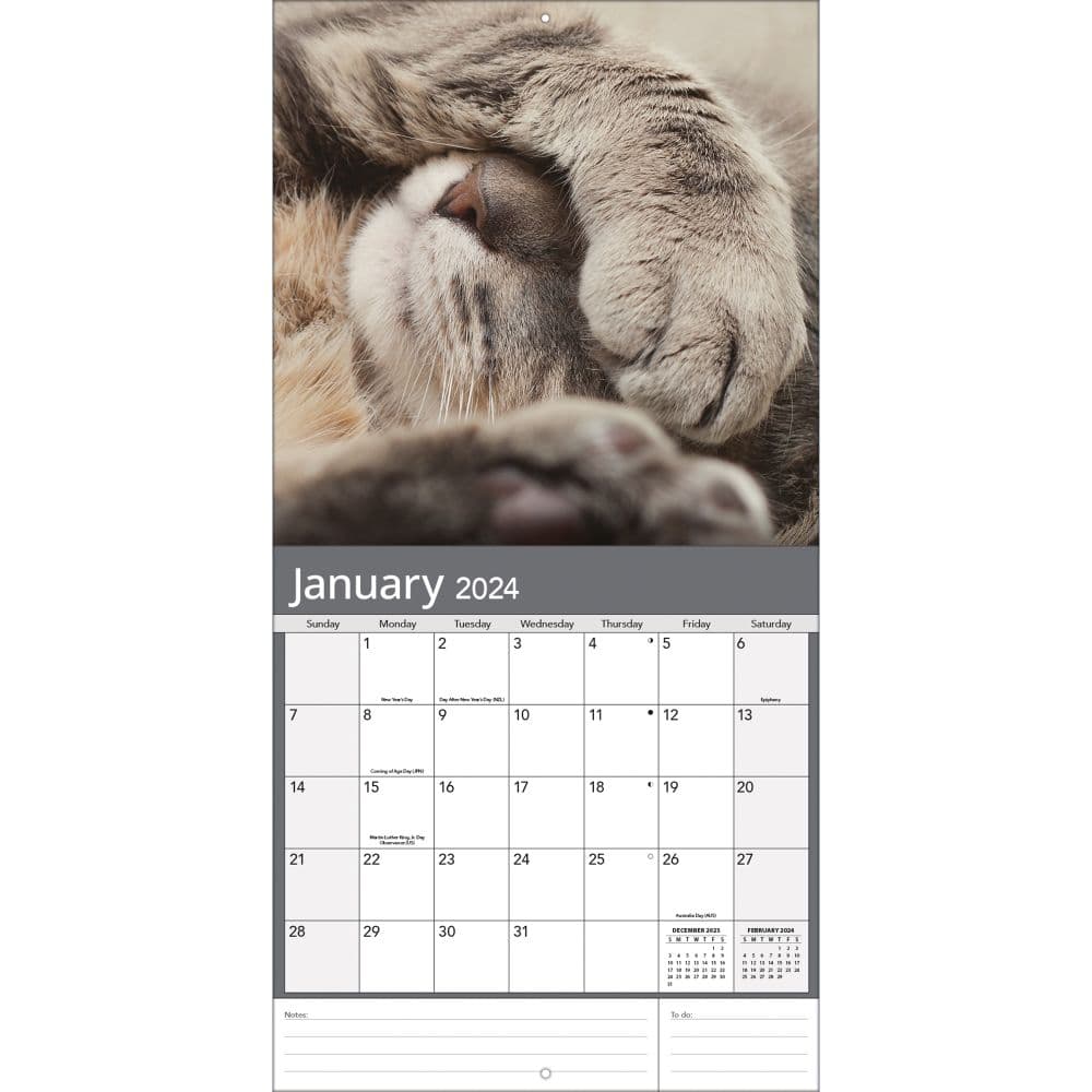 Cats Photo 2024 Wall Calendar Alternate Image 2