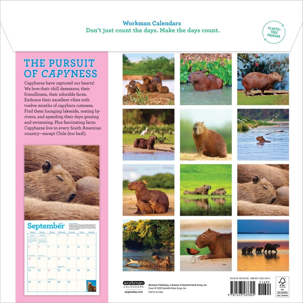 Capybara 2027 Wall Calendar First Alternate Image