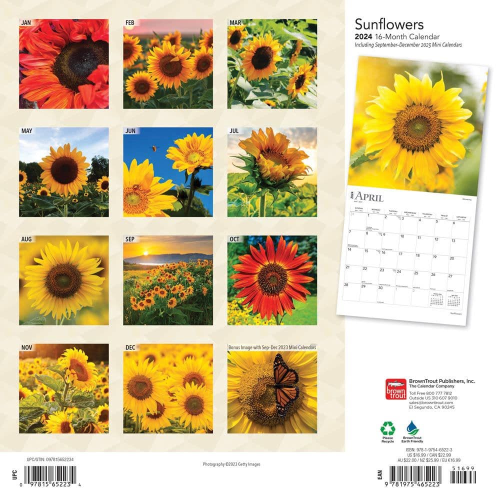 Sunflowers 2024 Wall Calendar ALT 1