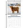 image Highland Cows Photo 2027 Wall Calendar