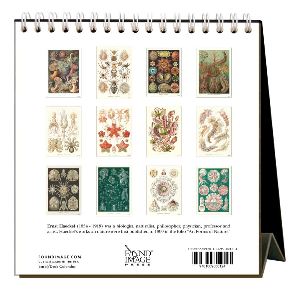 Art Forms of Nature 2023 Easel Calendar - Calendars.com