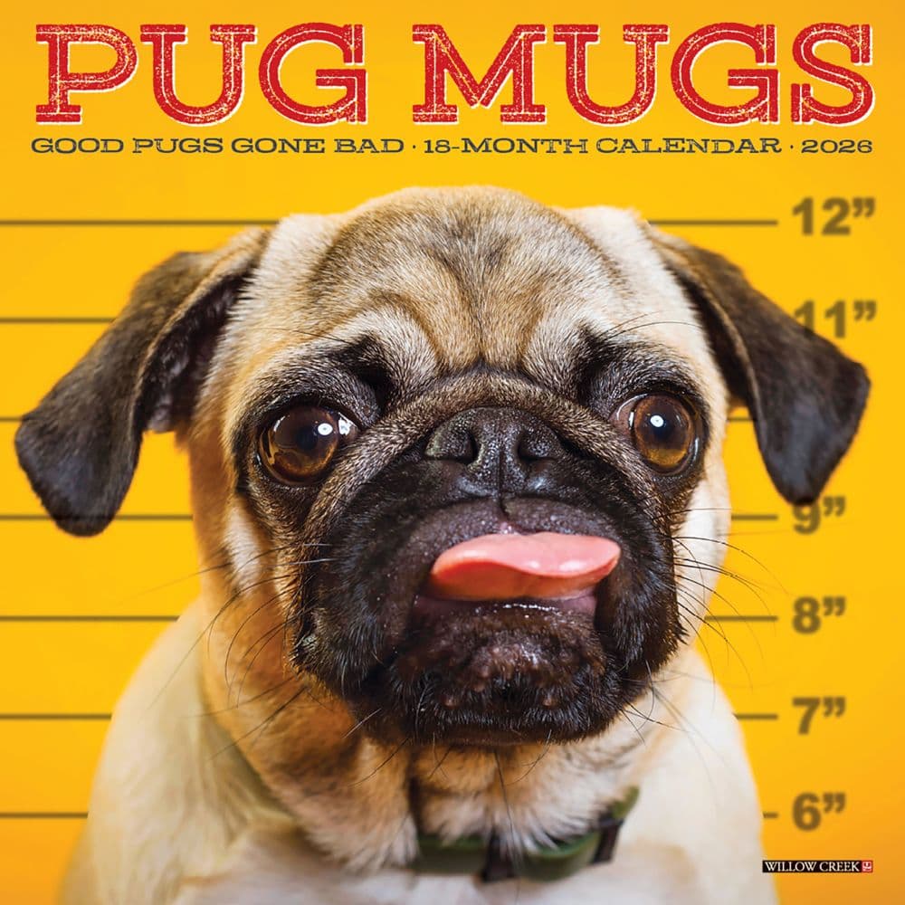 Pug Mugs 2026 Mini Wall Calendar Main Image