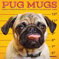 image Pug Mugs 2026 Mini Wall Calendar Main Image